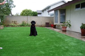 The Woods Trailer Park Artificial Turf Company in 92126