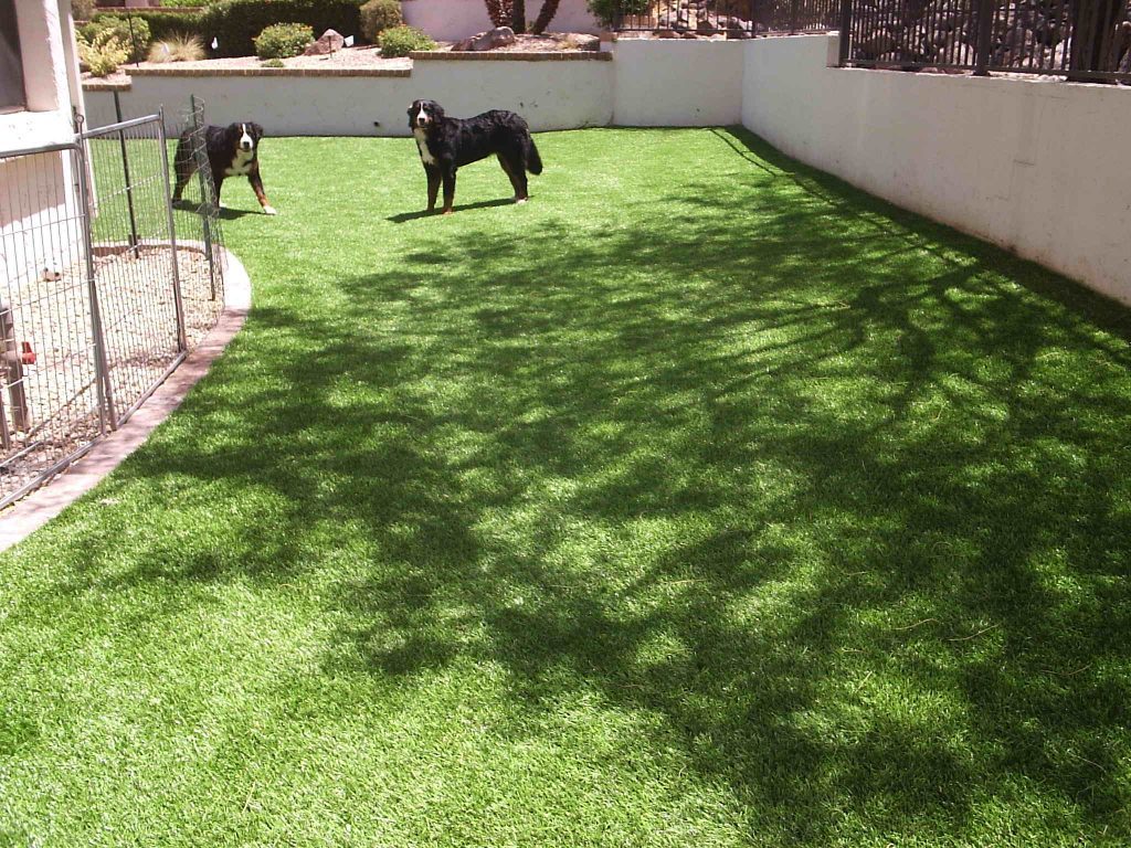 Synthetic Lawn Pet Turf Company Imperial Beach, Best Artificial Pet Turf Pricing