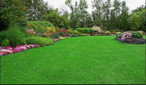 Best Greener Choice With Artificial Grass In Imperial Beach
