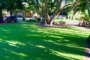 How Artificial Grass Helps You To Save Time And Money Imperial Beach?