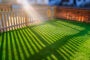 5 Reasons That Artificial Grass Is Best For Summer Season In Imperial Beach